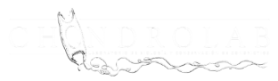 Chondrolab